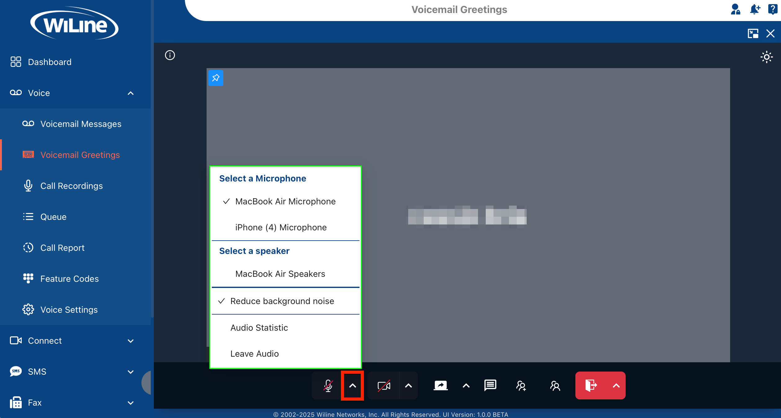 Audio Settings